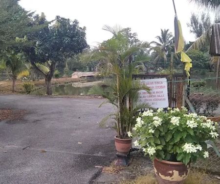 Tapak Semaian (Nurseri) MBS