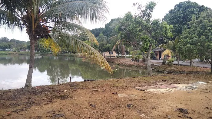 Tapak Semaian (Nurseri) MBS Picture 5