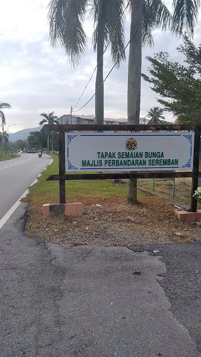 Tapak Semaian (Nurseri) MBS Picture 9