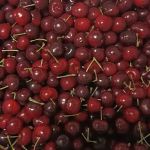 My Fruits Trading