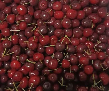 My Fruits Trading