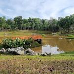 Forest Park