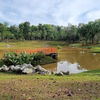 Forest Park ico