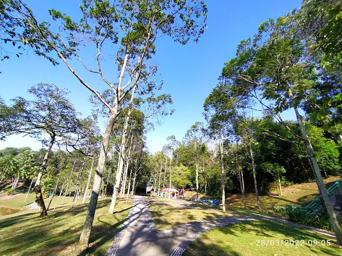 Forest Park Picture 9