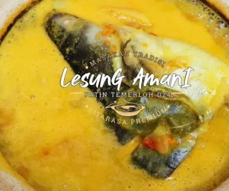 Lesung Amani - Patin Tempoyak D24