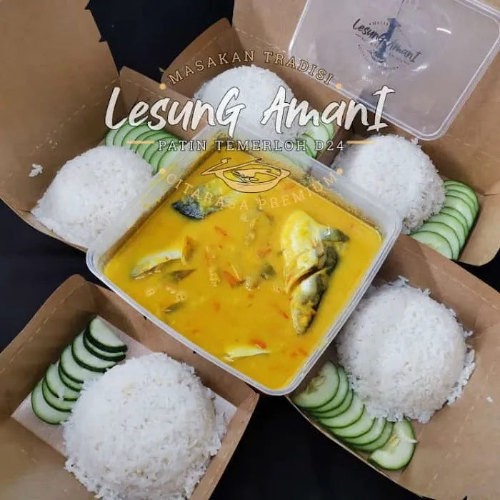 Lesung Amani - Patin Tempoyak D24 Picture 5