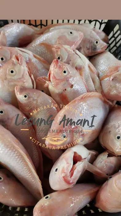 Lesung Amani - Patin Tempoyak D24 Picture 6
