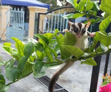 Taman Rasa Sayang