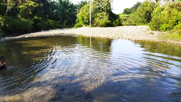 Lata payung Skolah Picture 2