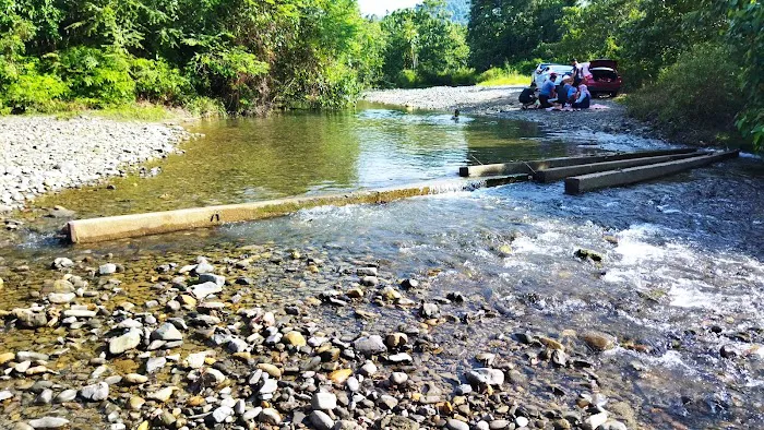 Lata payung Skolah Picture 3