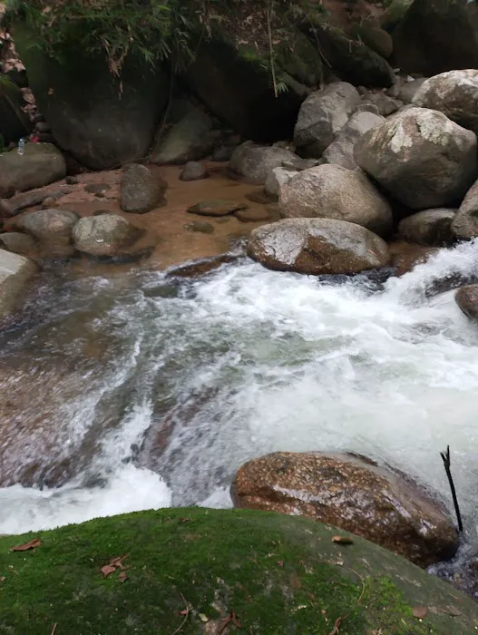 Lata payung Skolah Picture 1