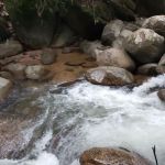 Lata payung Skolah