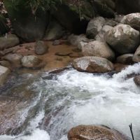 Lata payung Skolah ico