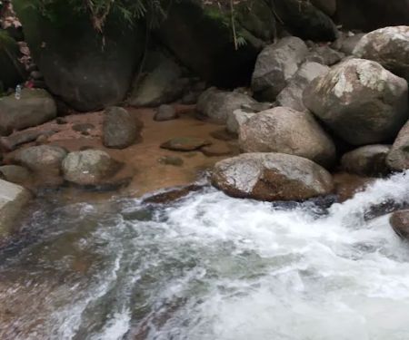 Lata payung Skolah