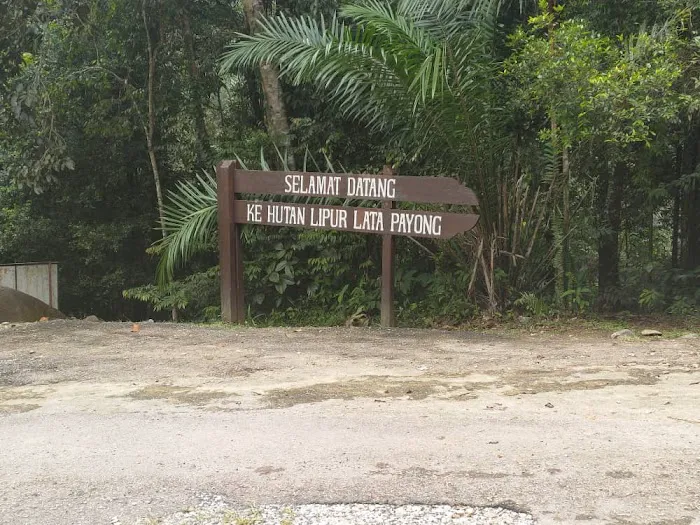 Lata payung Skolah Picture 6