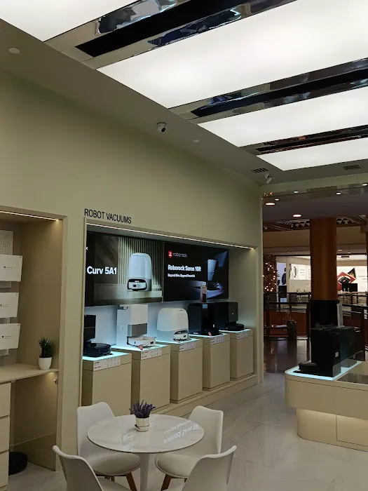 V29 Roborock Sunway Pyramid Picture 3