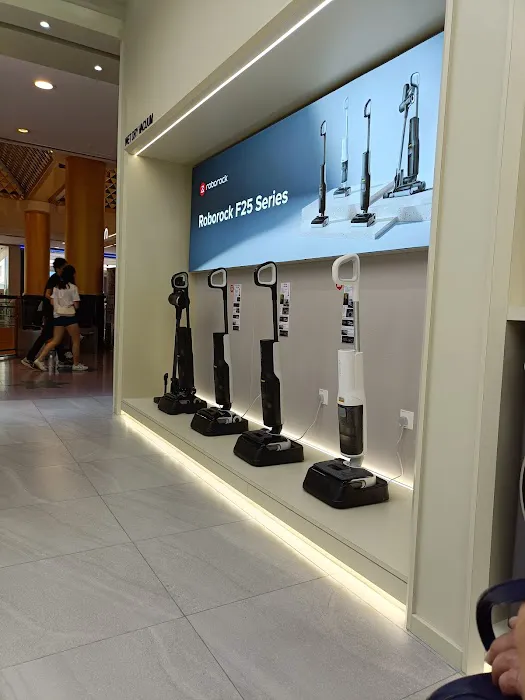 V29 Roborock Sunway Pyramid Picture 5