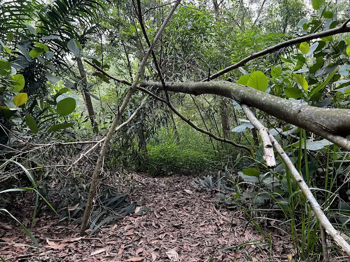 TERRA Trail Picture 2