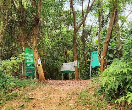 TERRA Trail