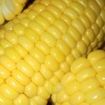 Jagung SUAMI ORANG