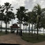 Gazebo Lakeview
