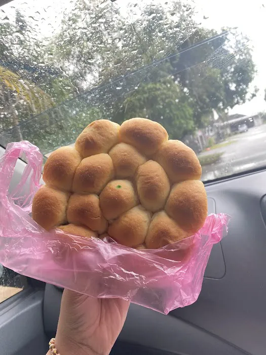 My Mom Roti_Paung Picture 5