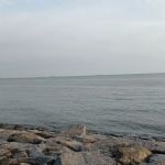 Pantai Dickson