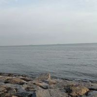 Pantai Dickson ico