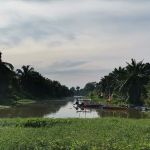 Campervan parks jeti