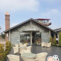 sailboat cafe ico