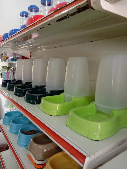 Ree Kj petshop Pasir Mas Picture 3
