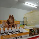 Ree Kj petshop Pasir Mas