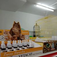 Ree Kj petshop Pasir Mas ico