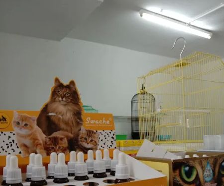 Ree Kj petshop Pasir Mas