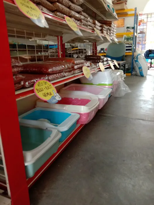 Ree Kj petshop Pasir Mas Picture 5