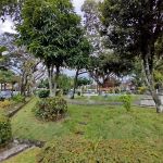 Community Park SS25/14