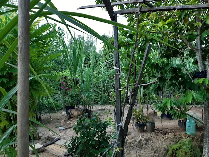 Moon's Garden Picture 1