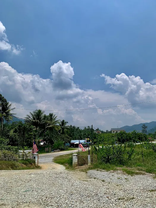 Nasi Ayam Nekna (KIRANA) Picture 10