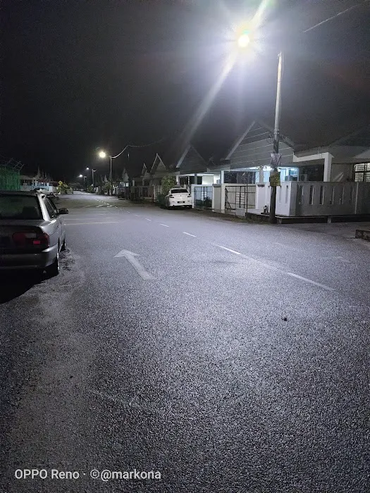 Lorong Kempadang Sejahtera 9 Picture 3