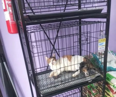 U R My Pet House Sdn Bhd @ Taman Prima Saujana