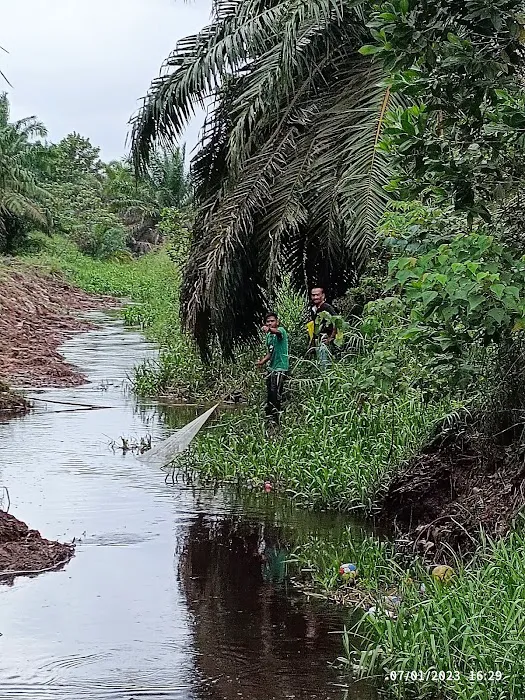 Taman Rekreasi Awam Indera Sempurna 2 Picture 1