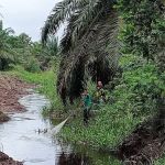 Taman Rekreasi Awam Indera Sempurna 2