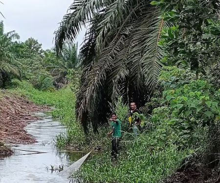 Taman Rekreasi Awam Indera Sempurna 2