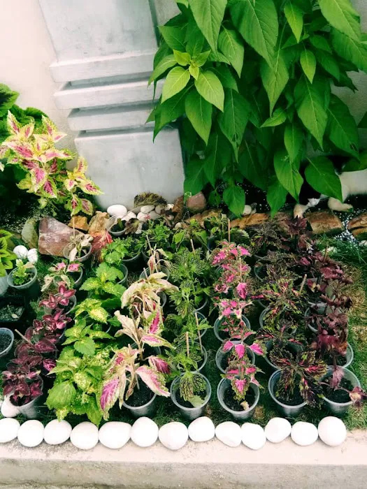 Ariesha Garden Kuantan Picture 1