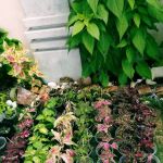 Ariesha Garden Kuantan