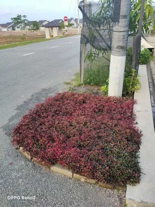 Ariesha Garden Kuantan Picture 2
