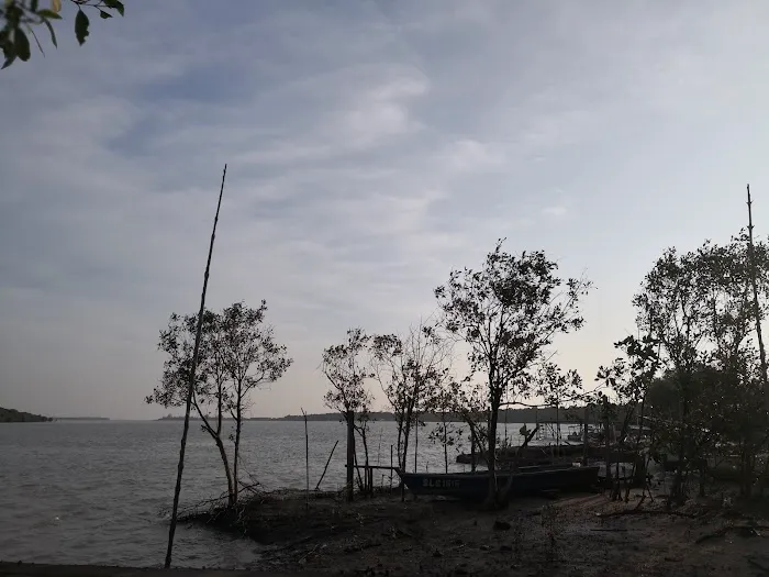 Kuala Sepetang Picture 3
