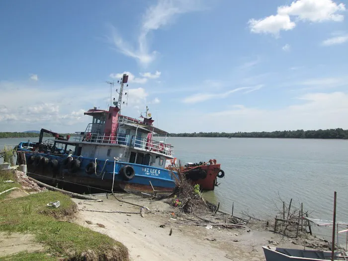 Kuala Sepetang Picture 6