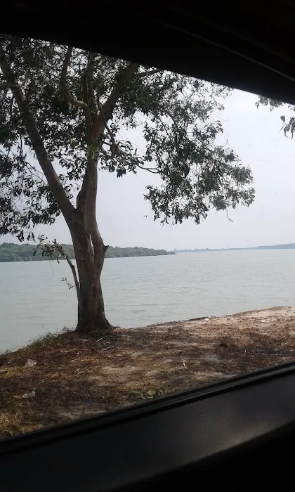 Kuala Sepetang Picture 10