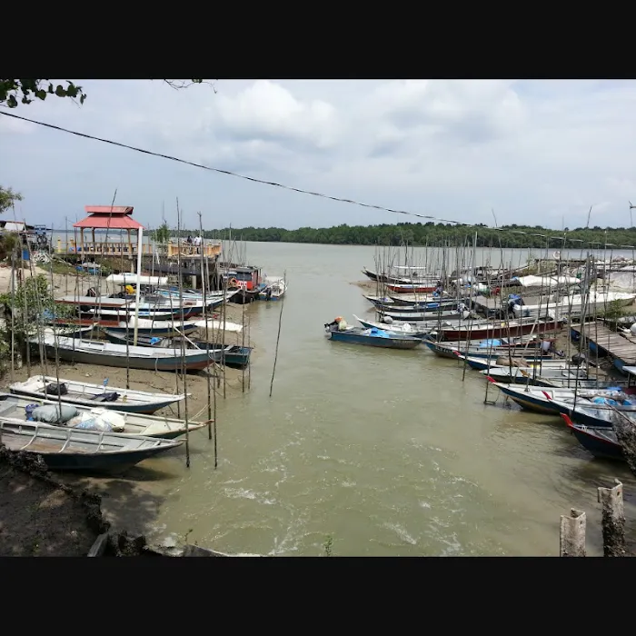 Kuala Sepetang Picture 9